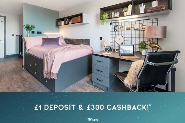 Zenith Cardiff property